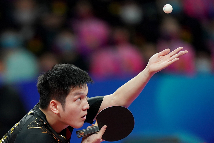 什么能成为 什么能成为